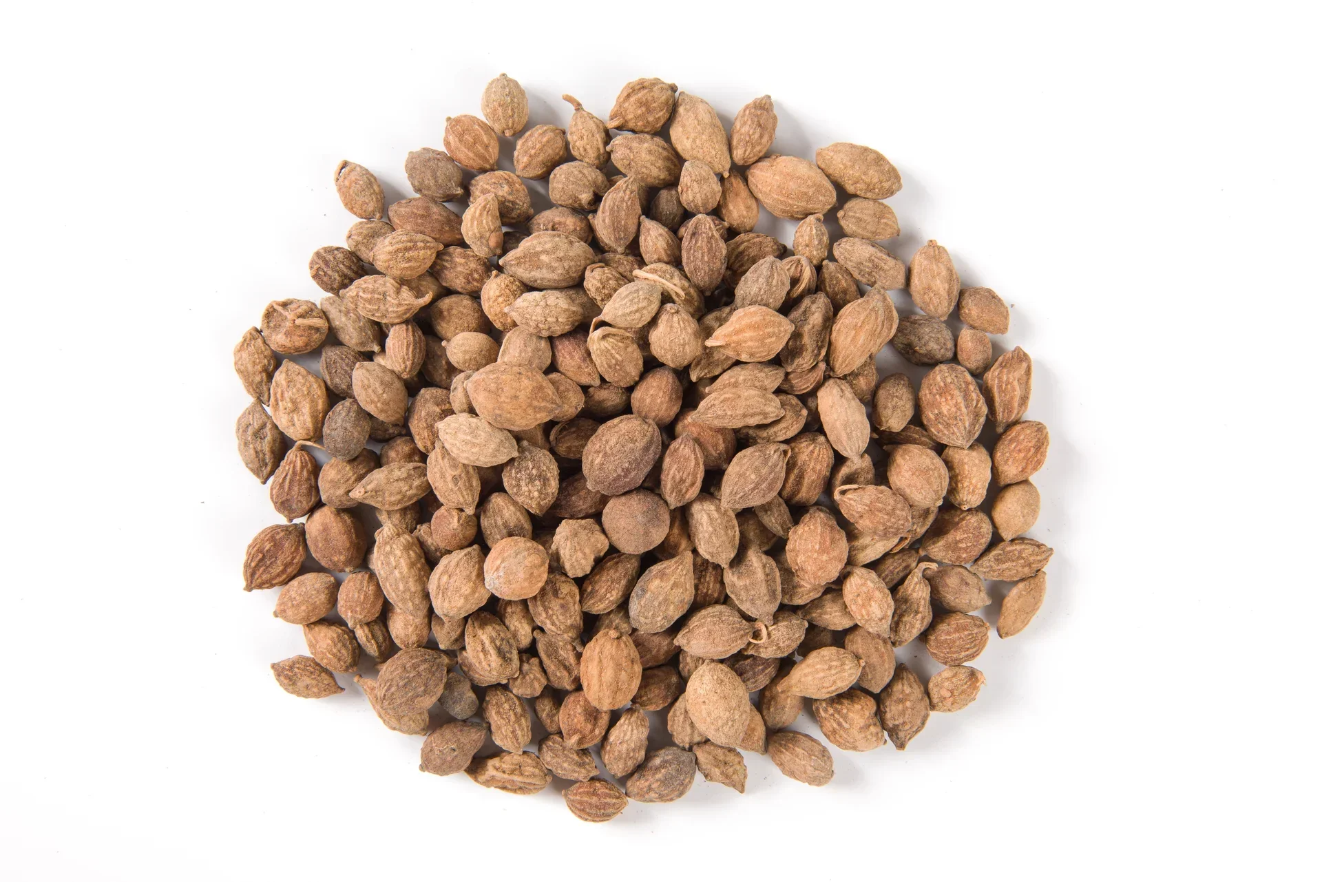 Alpinia Oxyphylla Product